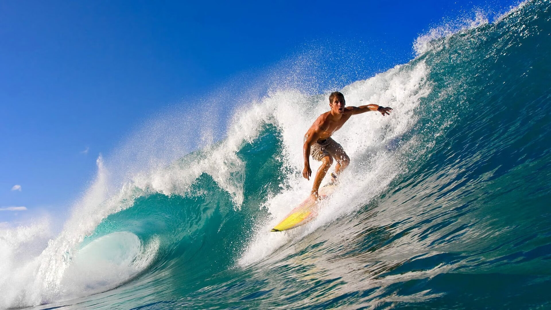 从零到冠军：新星如何书写逆袭传奇